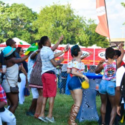 6-18-17 DC Jerk Festival